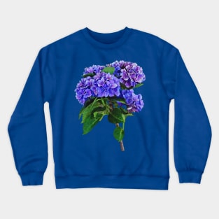 Dainty Blue Hydrangea Crewneck Sweatshirt